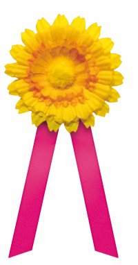 Český den proti rakovině 2024